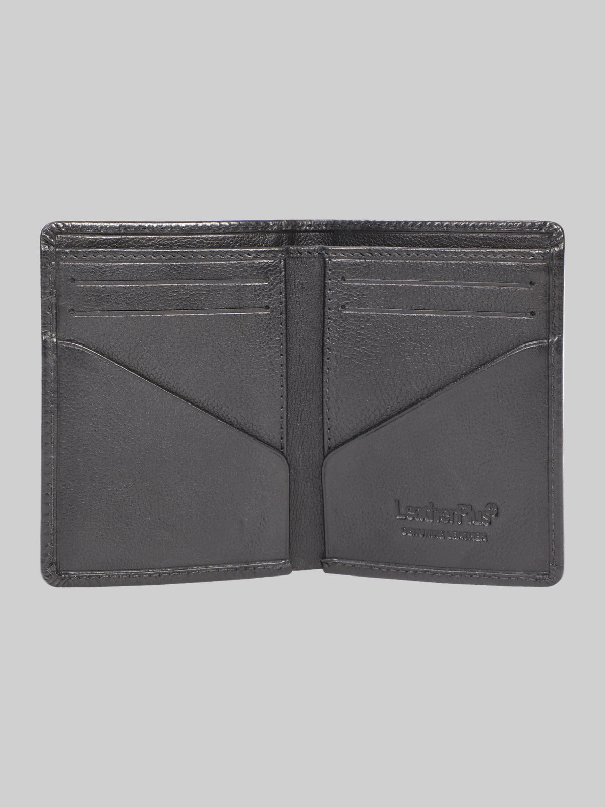 Colour-Accent Compact Wallet