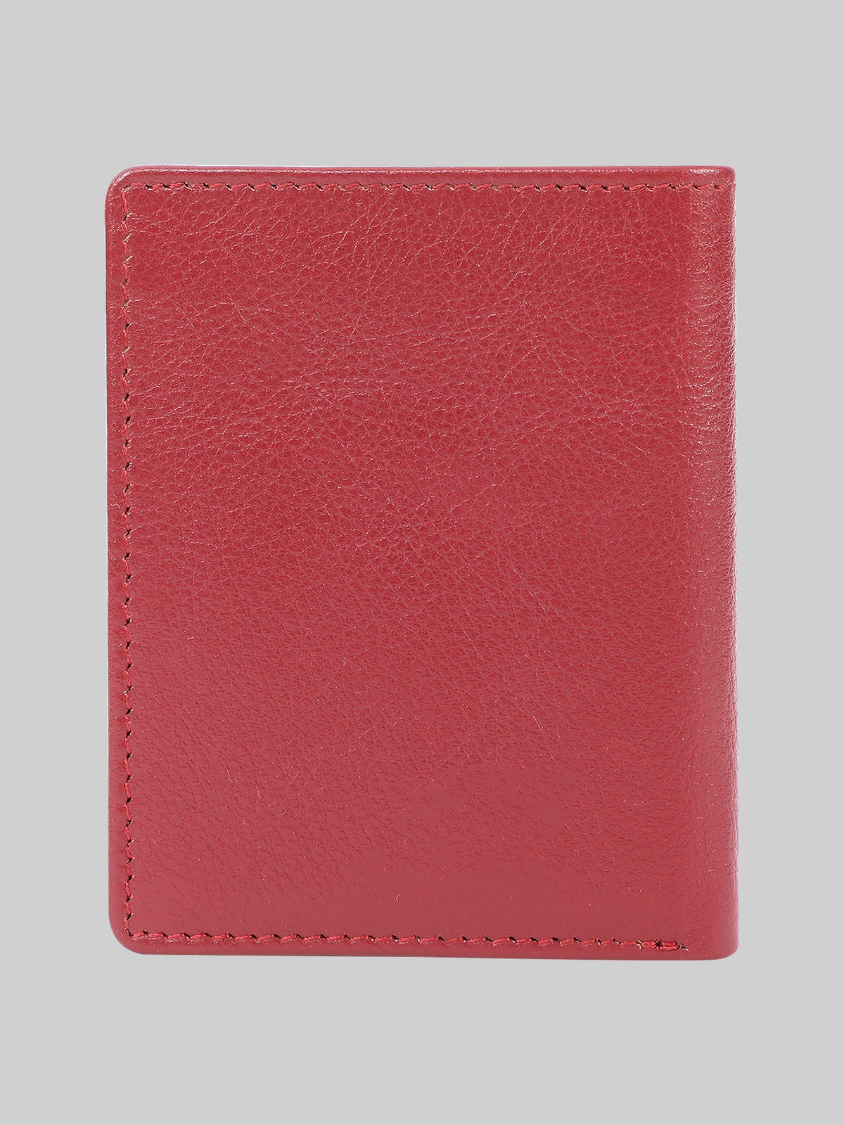 Colour-Accent Compact Wallet
