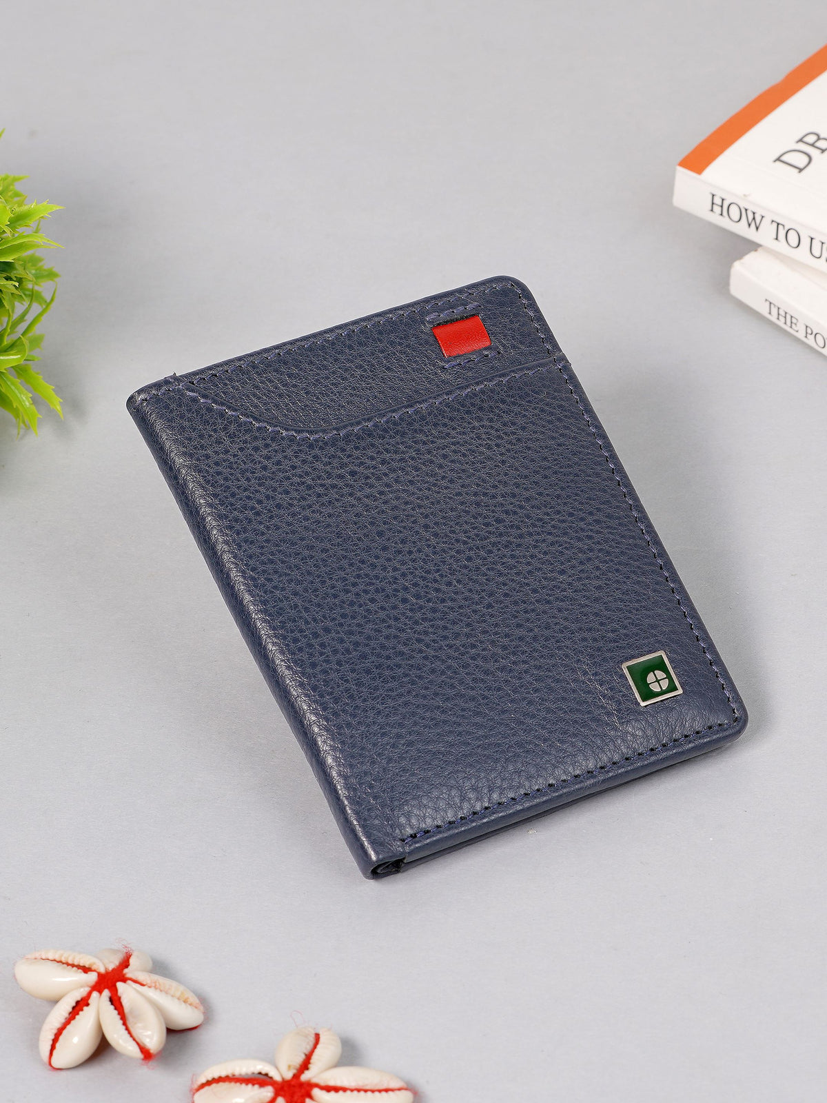 Colour-Accent Compact Wallet