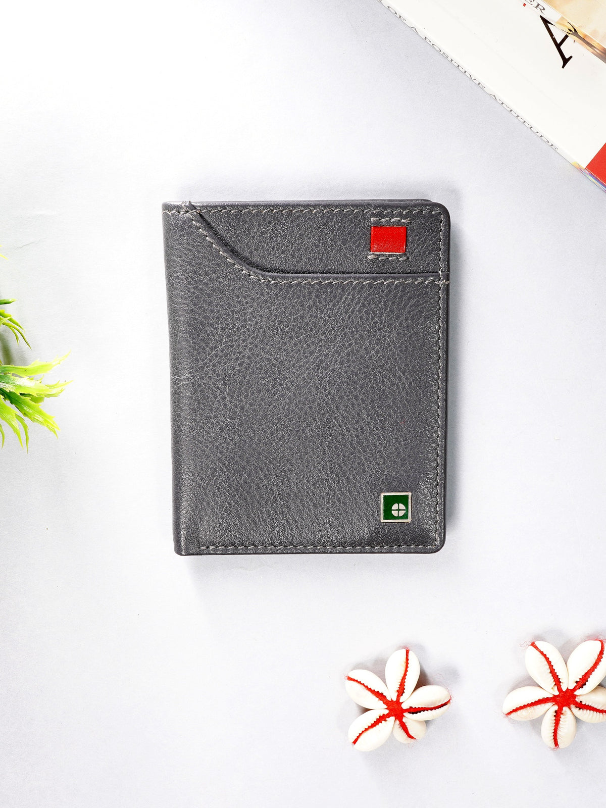 Colour-Accent Compact Wallet